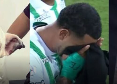 “Siempre te amaré, mi gordo” Entre lágrimas, Edwin Cardona dedicó su gol a Chewin su perro fallecido