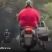 Indignación en Pereira por motociclista que transportaba un ternero en plena vía Cerritos