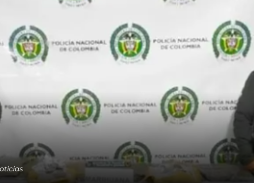 Canino antinarcóticos ‘Balton’ permitió la incautación de cuatro kilos de marihuana en vías del Quindío