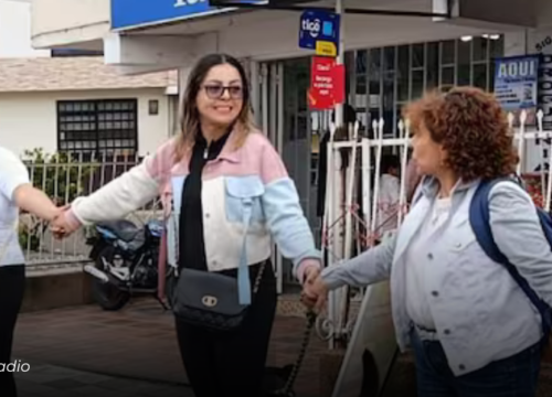 Marcha animalista en Armenia exige celebraciones sin pólvora tras la muerte de dos perros