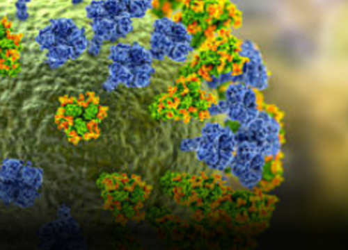 Colombia confirma el primer caso del virus de influenza A (H3N2) subclado K importado desde Estados Unidos