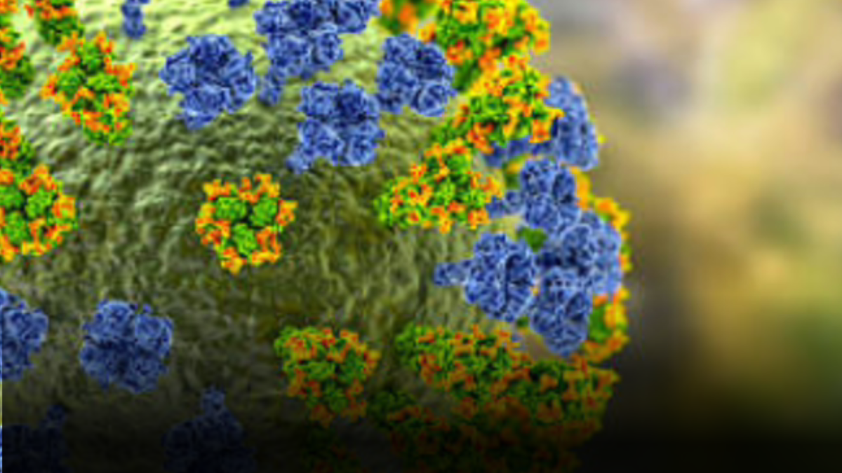 Colombia confirma el primer caso del virus de influenza A (H3N2) subclado K importado desde Estados Unidos