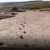 Descubren en Bolivia más de 16.600 huellas de dinosaurios, la mayor concentración registrada en el mundo