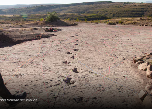 Descubren en Bolivia más de 16.600 huellas de dinosaurios, la mayor concentración registrada en el mundo