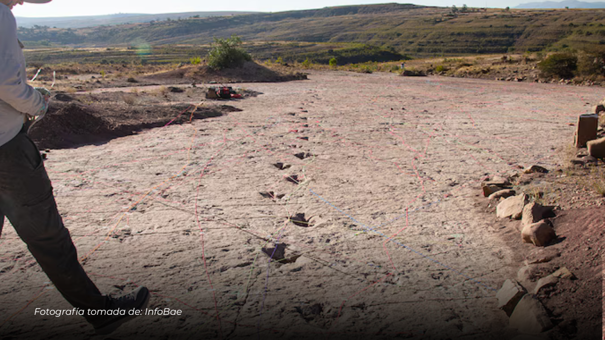 Descubren en Bolivia más de 16.600 huellas de dinosaurios, la mayor concentración registrada en el mundo