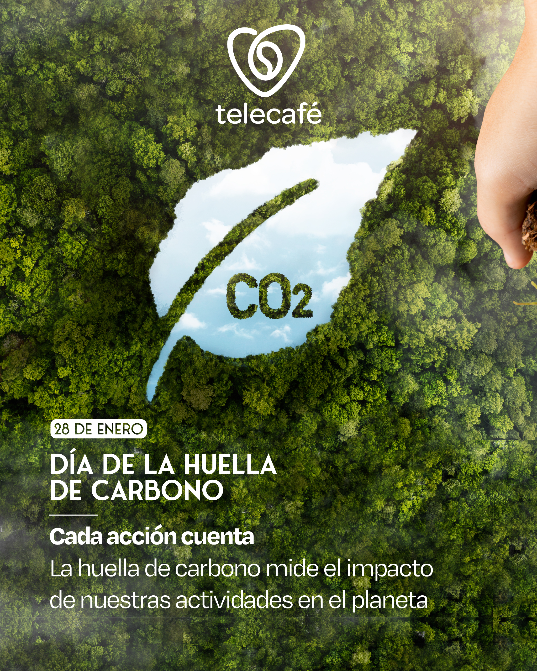 Telecafé midió su huella de carbono y presentó los resultados correspondientes a 2024