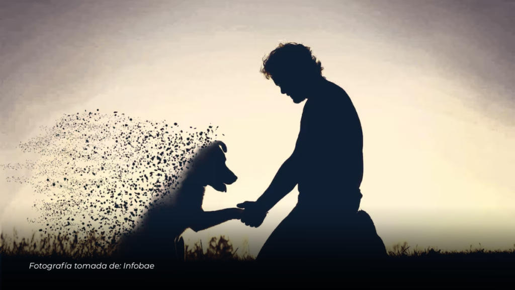 Corte Suprema respalda licencia por luto de mascota para trabajadores sindicalizados