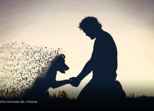 Corte Suprema respalda licencia por luto de mascota para trabajadores sindicalizados