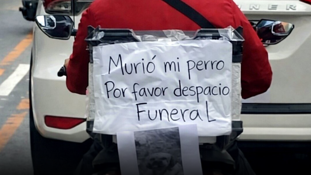 Motociclista conmueve en redes al despedir a su perro con un emotivo mensaje en la vía pública