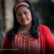 Autoridades intensifican búsqueda tras desaparición de la senadora Aida Quilcué en el Cauca