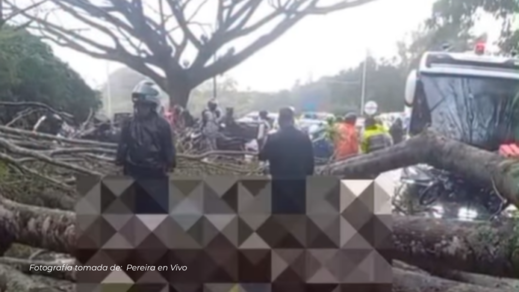 Grave emergencia en la vía Cerritos–Pereira tras caída de árbol