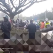 Grave emergencia en la vía Cerritos–Pereira tras caída de árbol