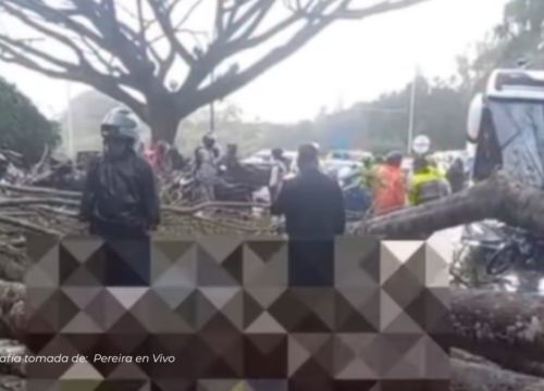 Grave emergencia en la vía Cerritos–Pereira tras caída de árbol