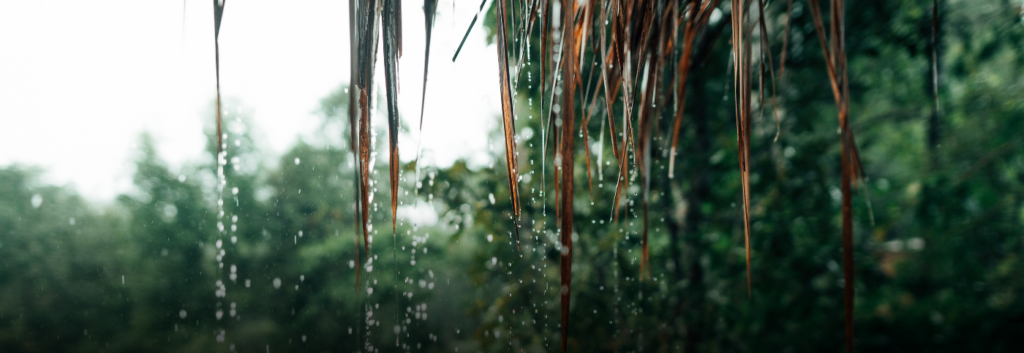 Lluvias en el Quindío aumentaron 102 % durante enero, según la CRQ