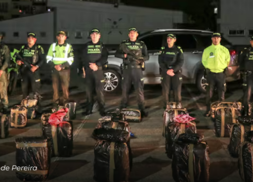 Golpe a red ilegal: decomisan 500 kilos de marihuana que iban para el área metropolitana