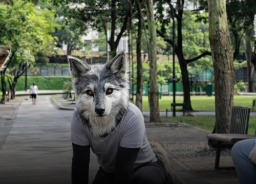 Convocatoria para encuentro “Therian” en Rionegro, Antioquia, genera polémica en redes