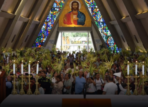 Quindío refuerza controles para proteger la palma de cera en Domingo de Ramos