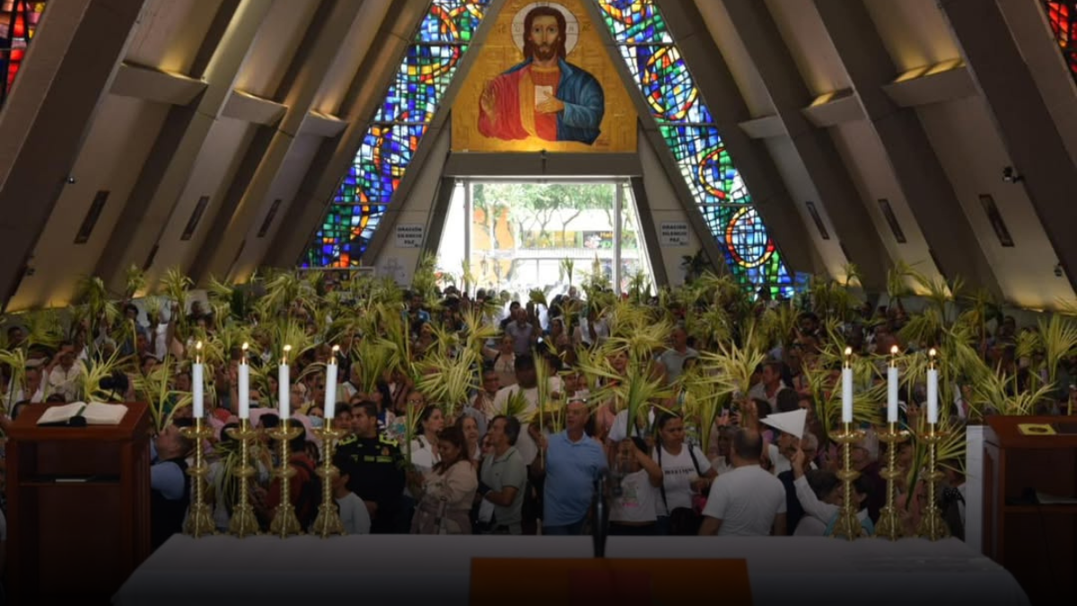 Quindío refuerza controles para proteger la palma de cera en Domingo de Ramos