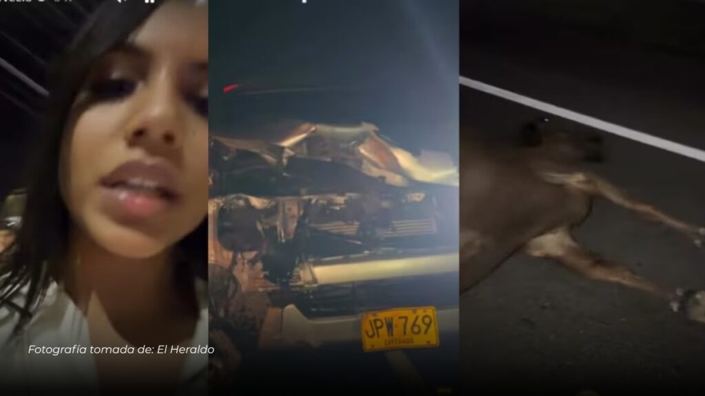 Natalia Curvelo sufre accidente en carretera y agradece estar fuera de peligro