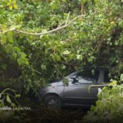 Carro cayó por una ladera en la avenida Alberto Mendoza y dejó un lesionado en Manizales