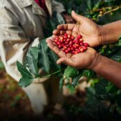 Café en Colombia supera los $2,18 millones por carga este 16 de marzo