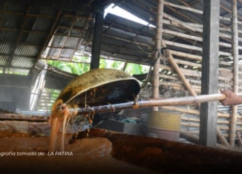 Hombre muere en Manizales tras accidente en molienda de panela