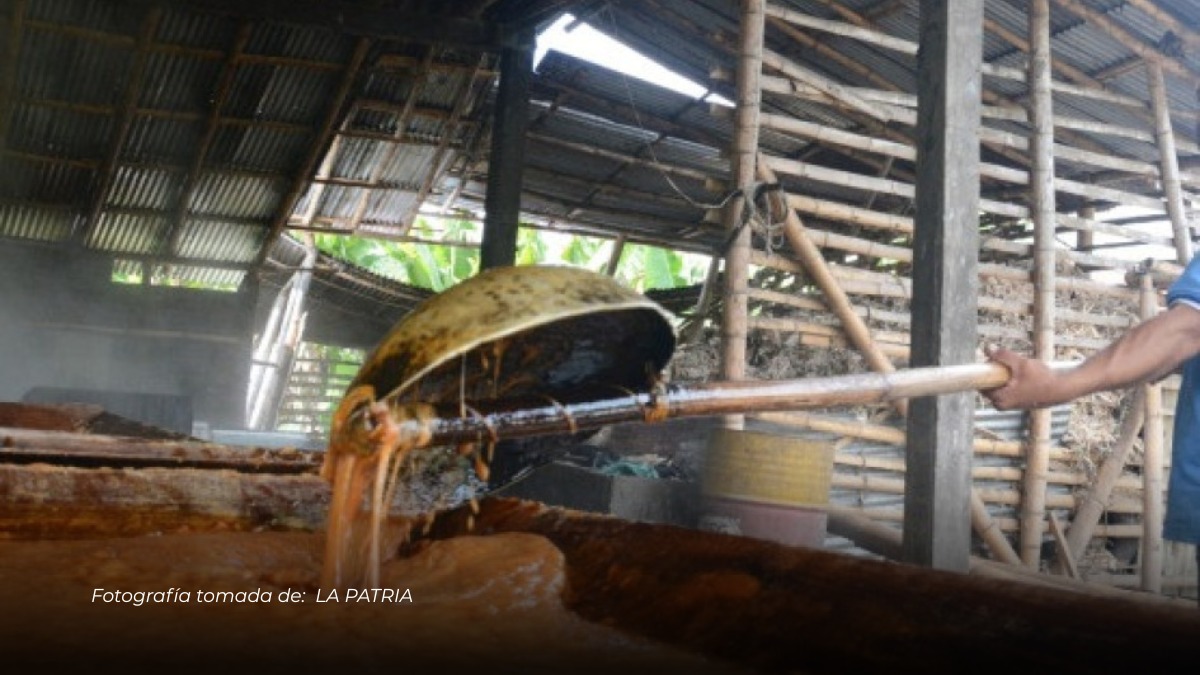 Hombre muere en Manizales tras accidente en molienda de panela