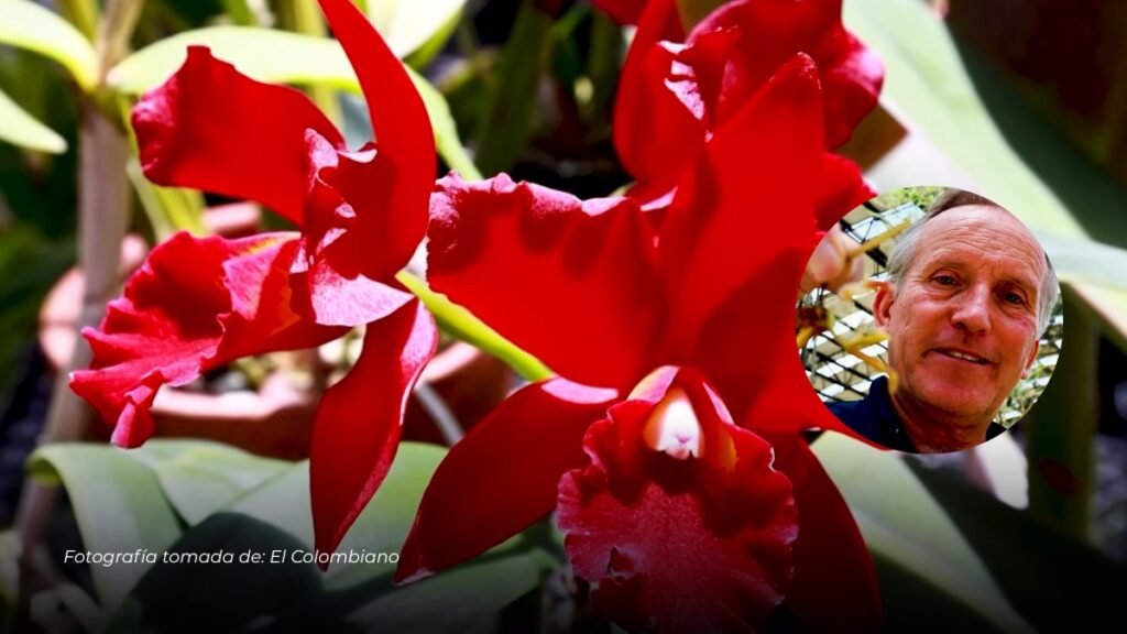 Colombiano es reconocido por National Geographic por su labor en conservación de orquídeas