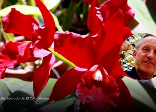 Colombiano es reconocido por National Geographic por su labor en conservación de orquídeas
