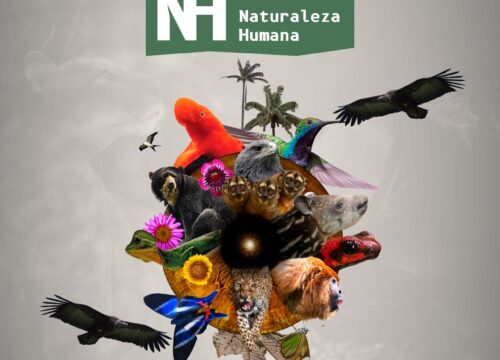 Un viaje por la majestuosidad natural del Eje Cafetero:  Nueva temporada de Naturaleza Humana