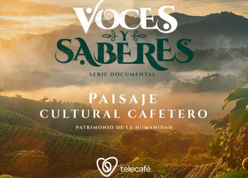“Voces y Saberes”: las historias que mantienen viva la cultura del café llegan a la pantalla