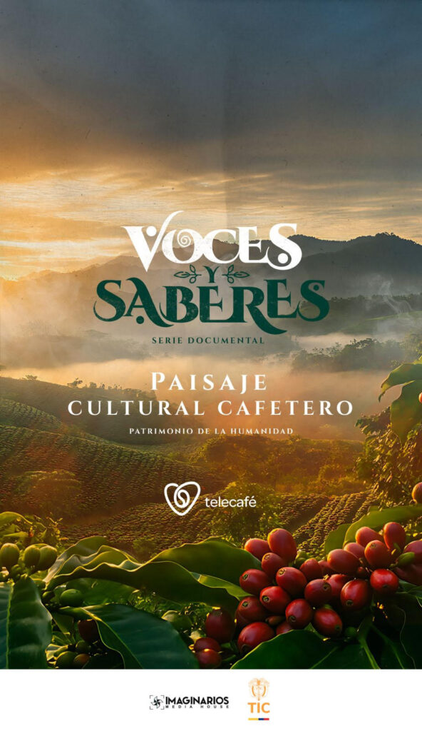 “Voces y Saberes”: las historias que mantienen viva la cultura del café llegan a la pantalla