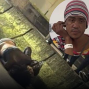 Mujer trans en condición de calle resulta lesionada tras atropello en Armenia