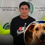 A prisión presunto responsable de la muerte de la perrita Kira en Bucaramanga
