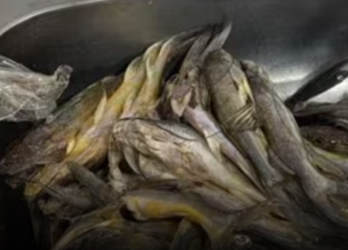 Operativos en Armenia dejan decomisos de pescado en condiciones inadecuadas