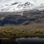 40 años de ciencia y prevención: el Observatorio de Manizales que nació tras la tragedia del Nevado del Ruiz