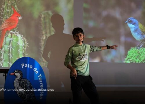 Adolescente en Quindío crea juego de mesa para promover el cuidado de las aves en Colombia