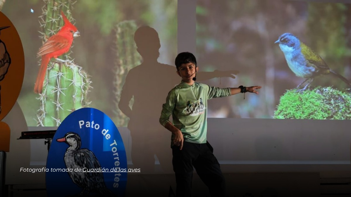 Adolescente en Quindío crea juego de mesa para promover el cuidado de las aves en Colombia