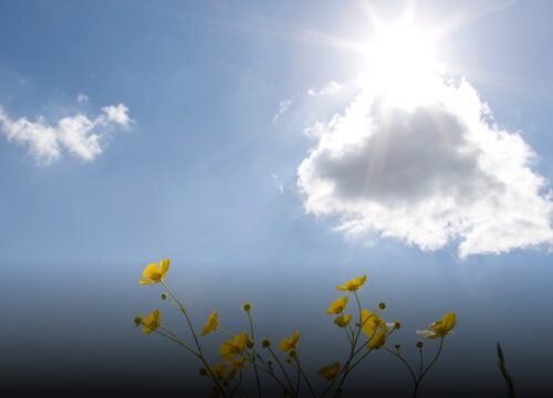 El fenómeno de El Niño podría regresar en 2026 y pone en alerta preventiva a América Latina y el Caribe