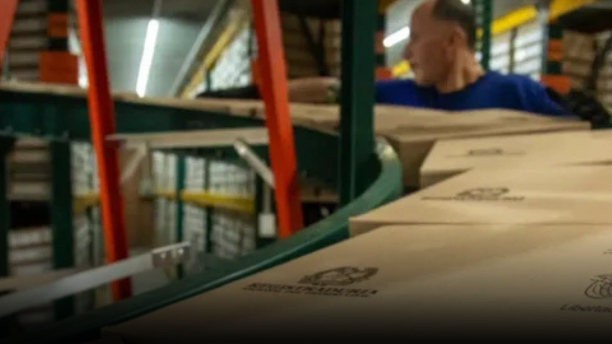Registraduría alerta por páginas falsas y cadenas engañosas antes de las elecciones