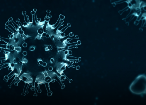Ministerio de Salud aclara que no hay casos confirmados de hantavirus en Colombia
