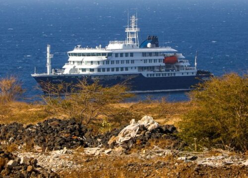 OMS actualiza cifras por brote de hantavirus en crucero: siete contagios y tres fallecidos