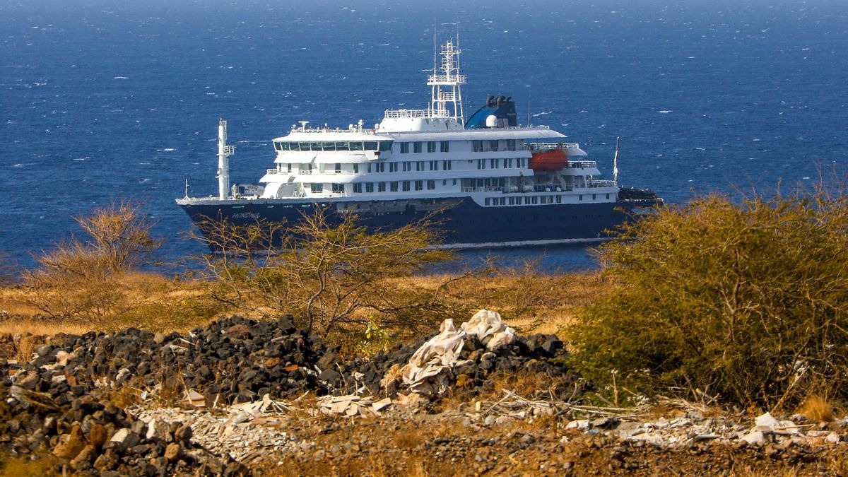 OMS actualiza cifras por brote de hantavirus en crucero: siete contagios y tres fallecidos