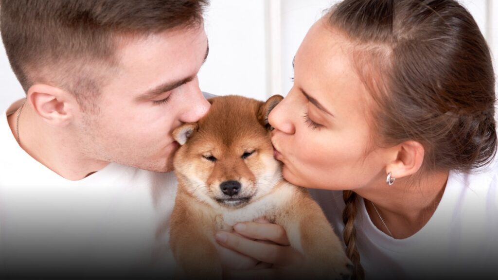 Justicia en Argentina ordena cuota alimentaria y régimen de visitas para un perro tras separación de pareja