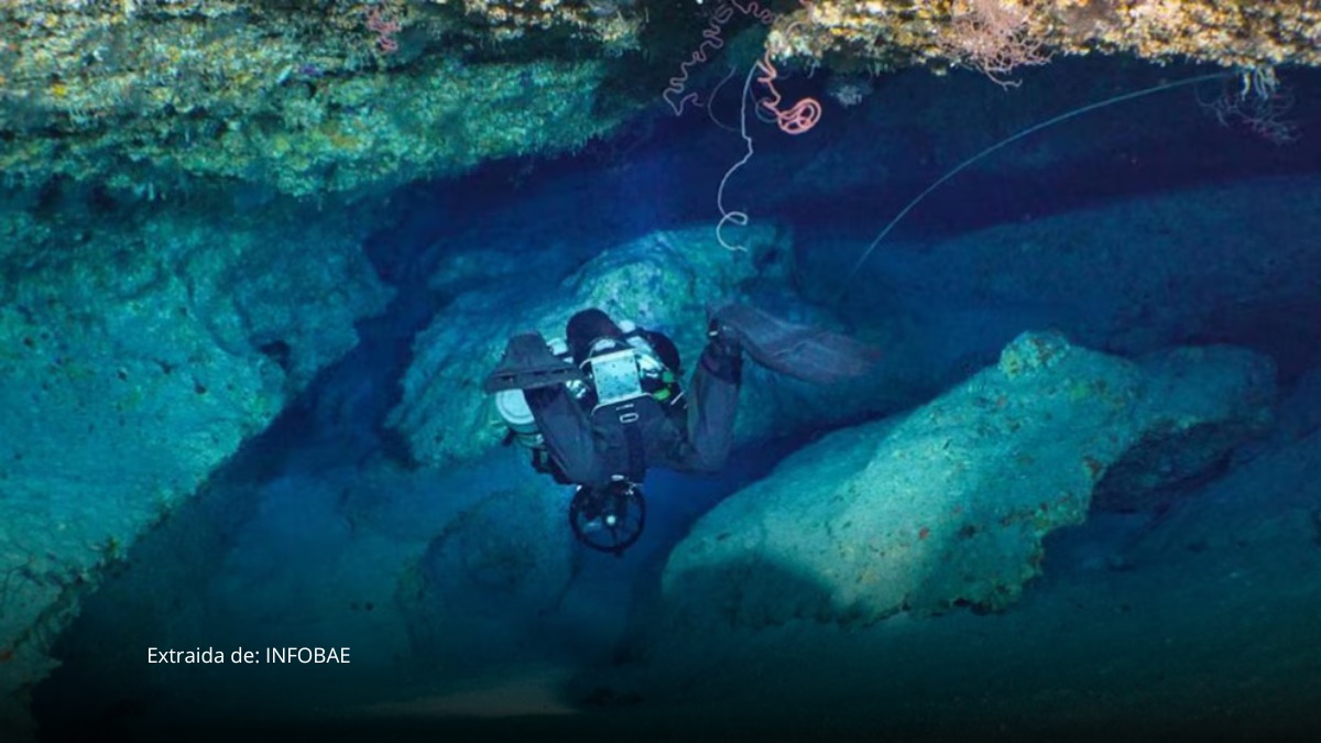 Impactantes imágenes revelan la cueva submarina donde murieron cinco buceadores italianos en Maldivas