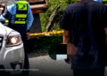 Un trabajador habría sido arrollado por un vehículo recolector de residuos en el sector de Panorama, Cuba Un trabajador habría sido arrollado por un vehículo recolector de residuos en el sector de Panorama, Cuba
