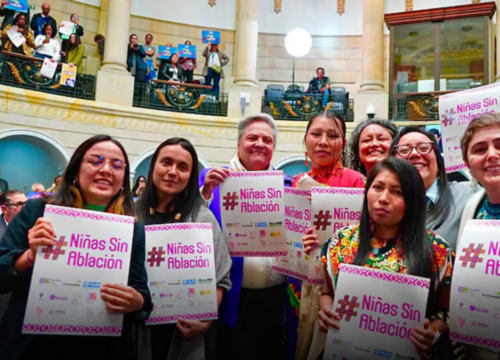 Senado aprobó proyecto que busca erradicar la mutilación genital femenina en Colombia Senado aprobó proyecto que busca erradicar la mutilación genital femenina en Colombia
