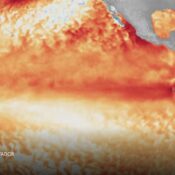 Fenómeno de El Niño se consolida y Colombia se prepara para posibles cambios en el clima