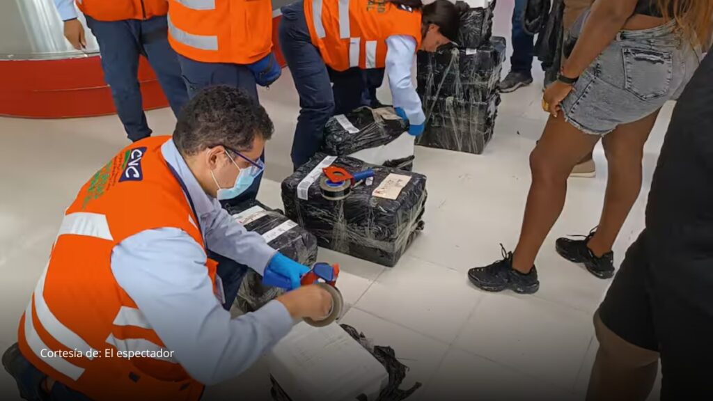 Autoridades decomisan carne de armadillo en aeropuerto de Cali