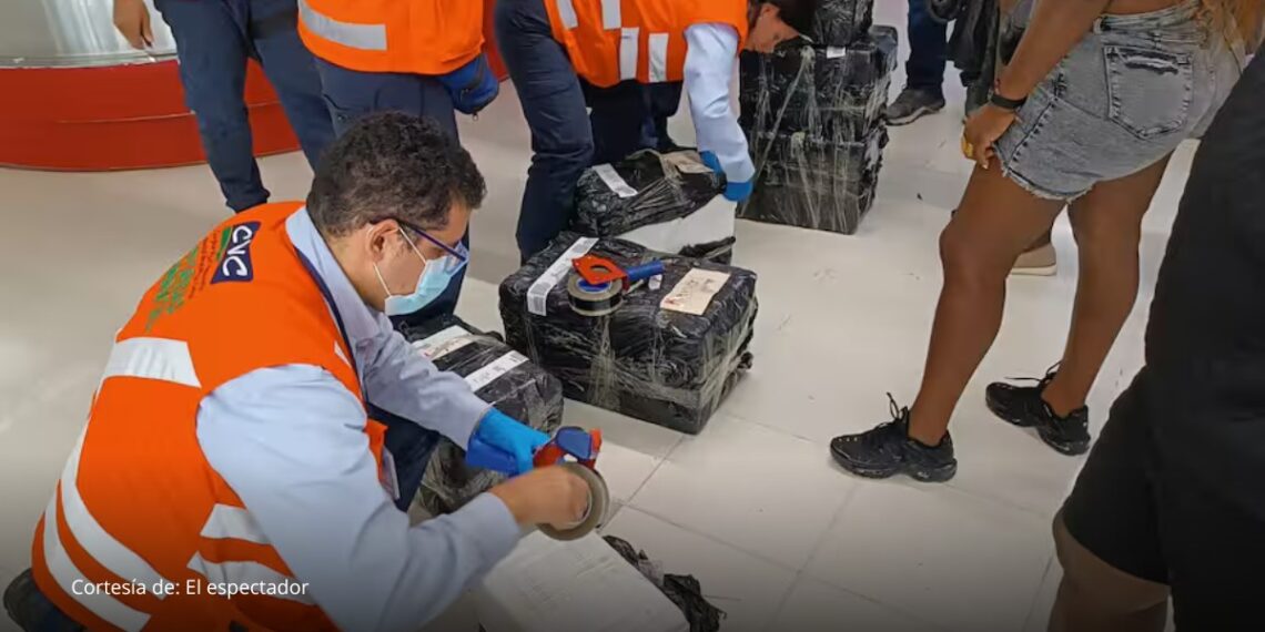 Autoridades decomisan carne de armadillo en aeropuerto de Cali Autoridades decomisan carne de armadillo en aeropuerto de Cali